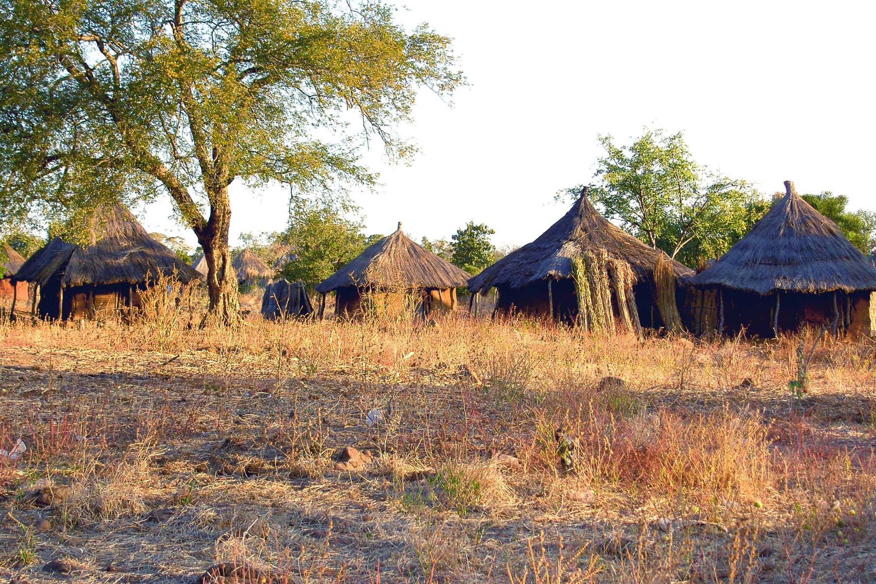 Zambia - Huts in Songwe Village.jpg